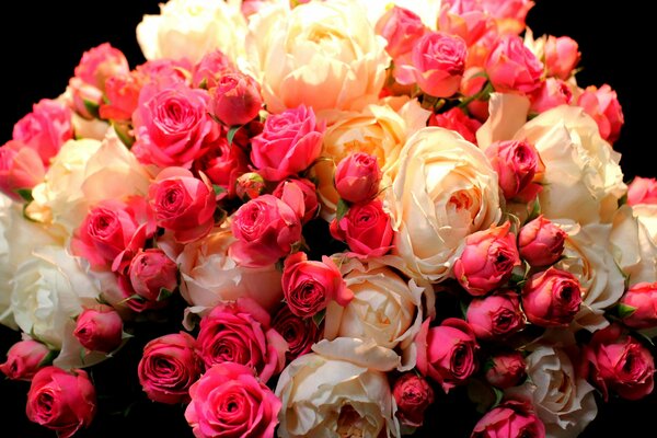 Bouquet de roses chic sur fond noir