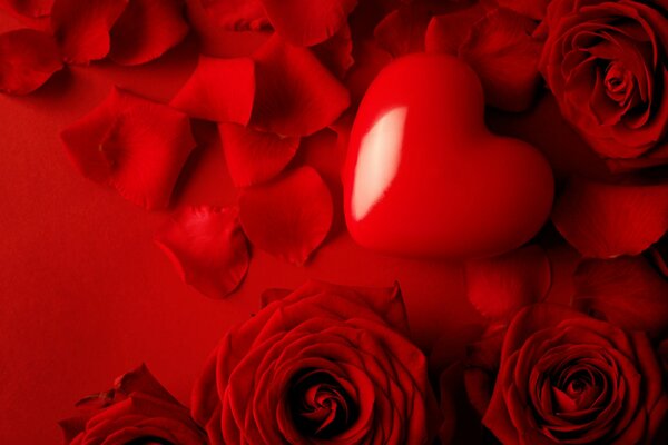 Coeur rouge en pétales de rose