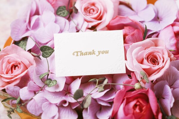 Carte postale sur fond de roses roses