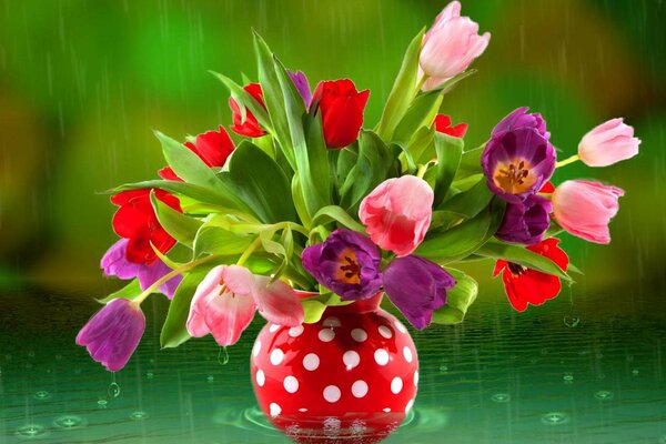 Bouquet tulipanrv in vaso krasnos a pois sotto la pioggia