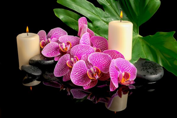 Orchid flowers and candles together