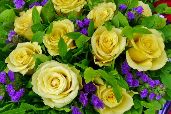 Rose da tè composizione di fiori