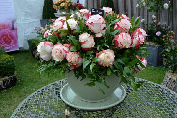 Ein Strauß schöner Rosen in einer Vase
