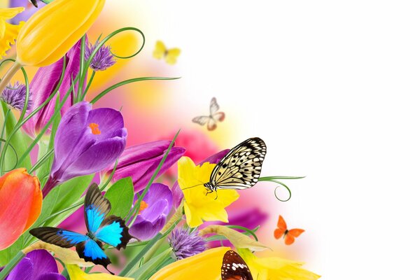 Motif lumineux coloré avec des papillons