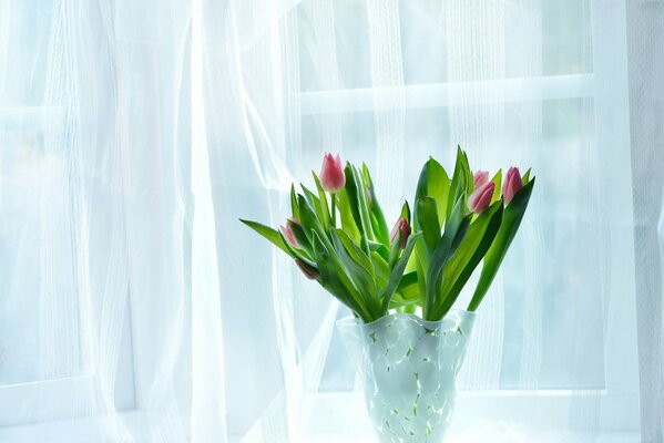 Ein Strauß Tulpen, die in einer Vase am Fenster stehen