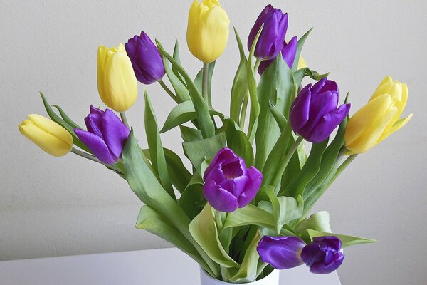 Gelbe und lila Tulpen in einer Vase
