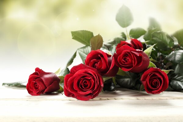 Ramo de rosas rojas para Damas