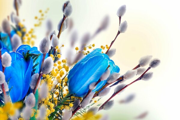 Spring bouquet with mimosa and willow