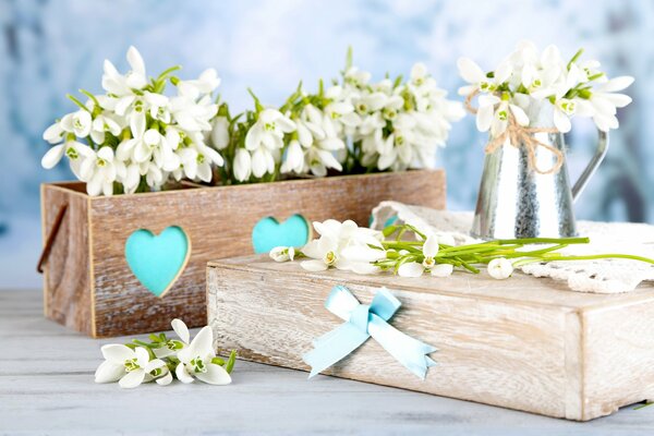 Snowdrops in wooden planters on a blue background