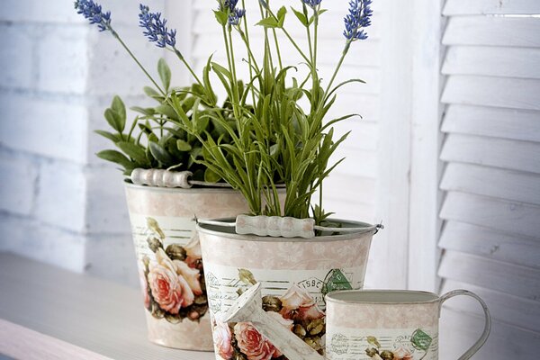 Fiori di lavanda in un secchio accanto a un annaffiatoio