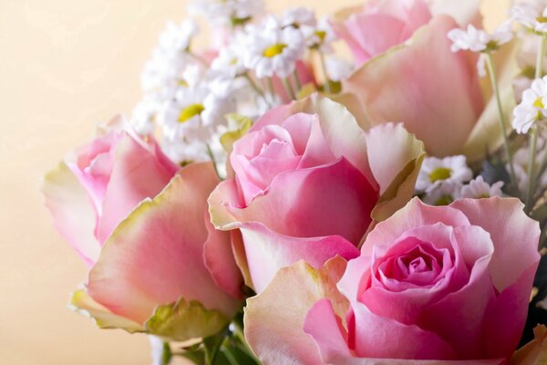 Schöner Blumenstrauß aus Rosen und Gänseblümchen