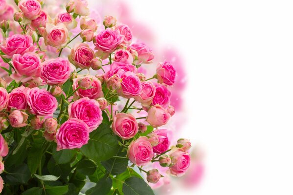Ein zarter Blumenstrauß aus Teerosen