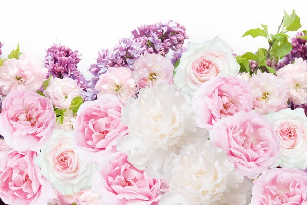 Blumenstrauß aus weißen und rosa Pfingstrosen