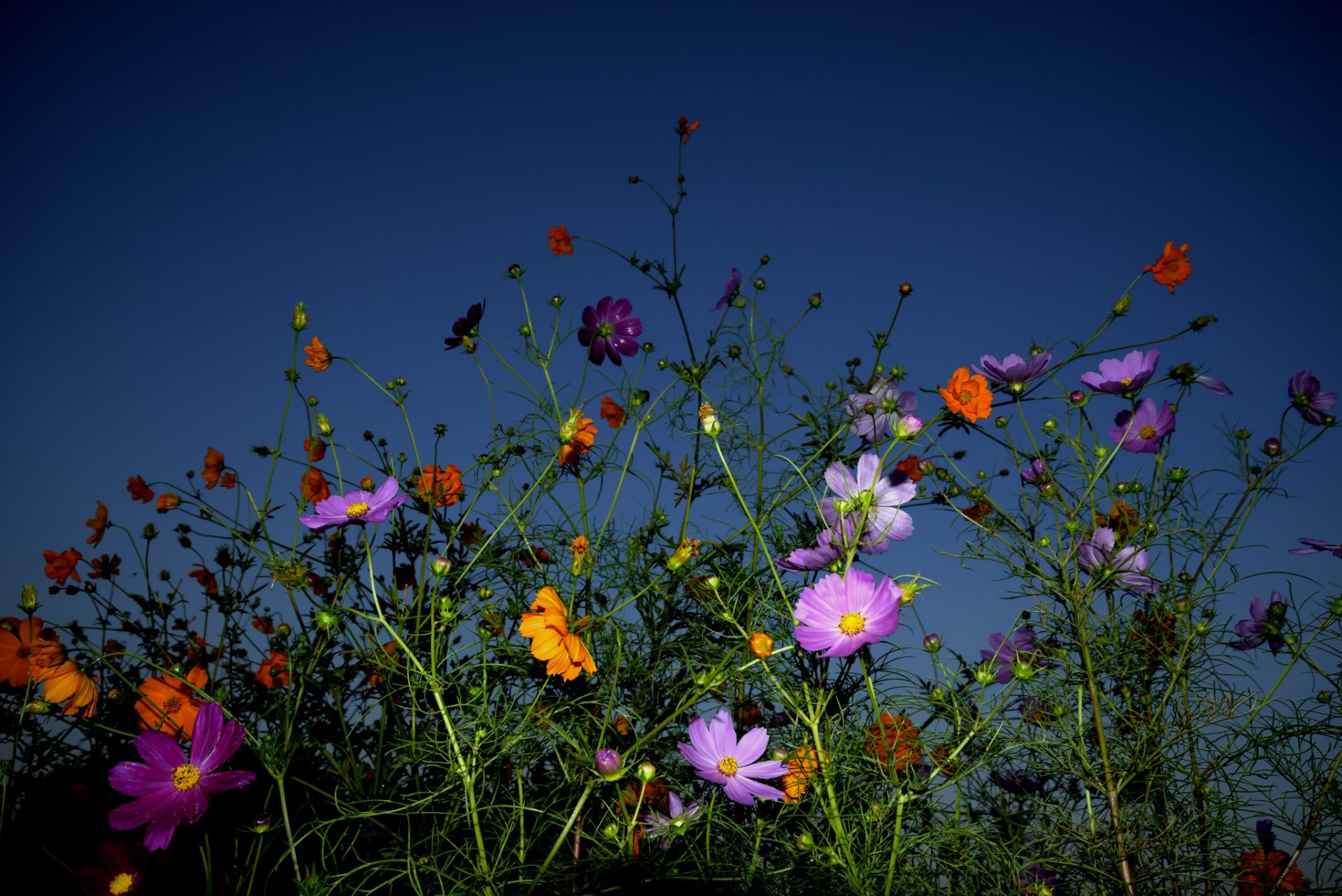 multicolore ciel fond