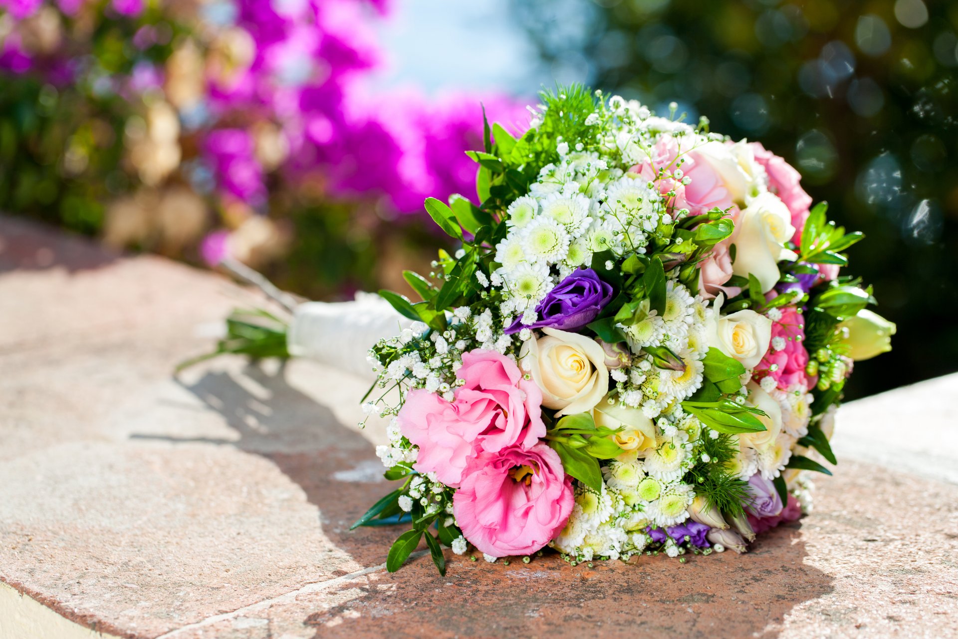 roses bouquet fleurs blanc rose bokeh flou