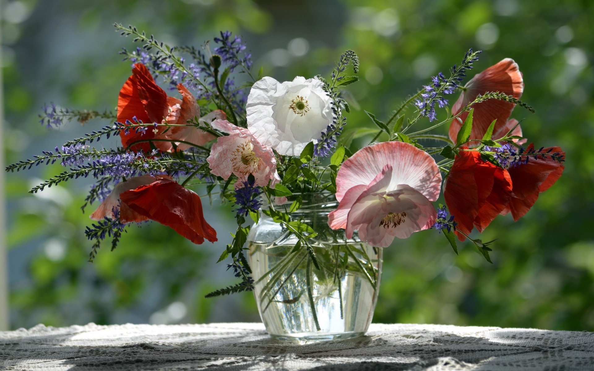 flower nature background