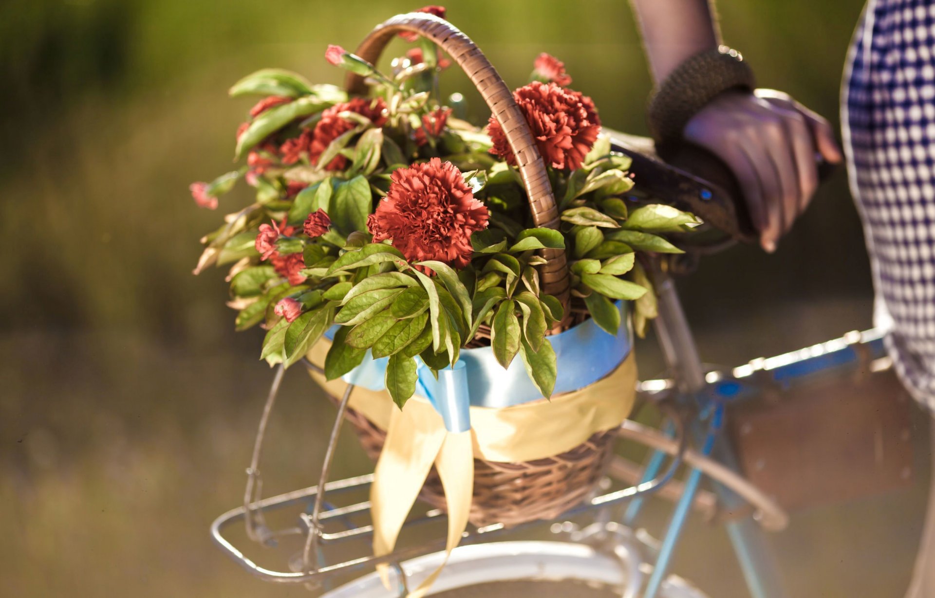 fiori fiori fiorellino cesto bicicletta foglie mano ragazza sfocatura sfondo carta da parati widescreen schermo intero widescreen widescreen