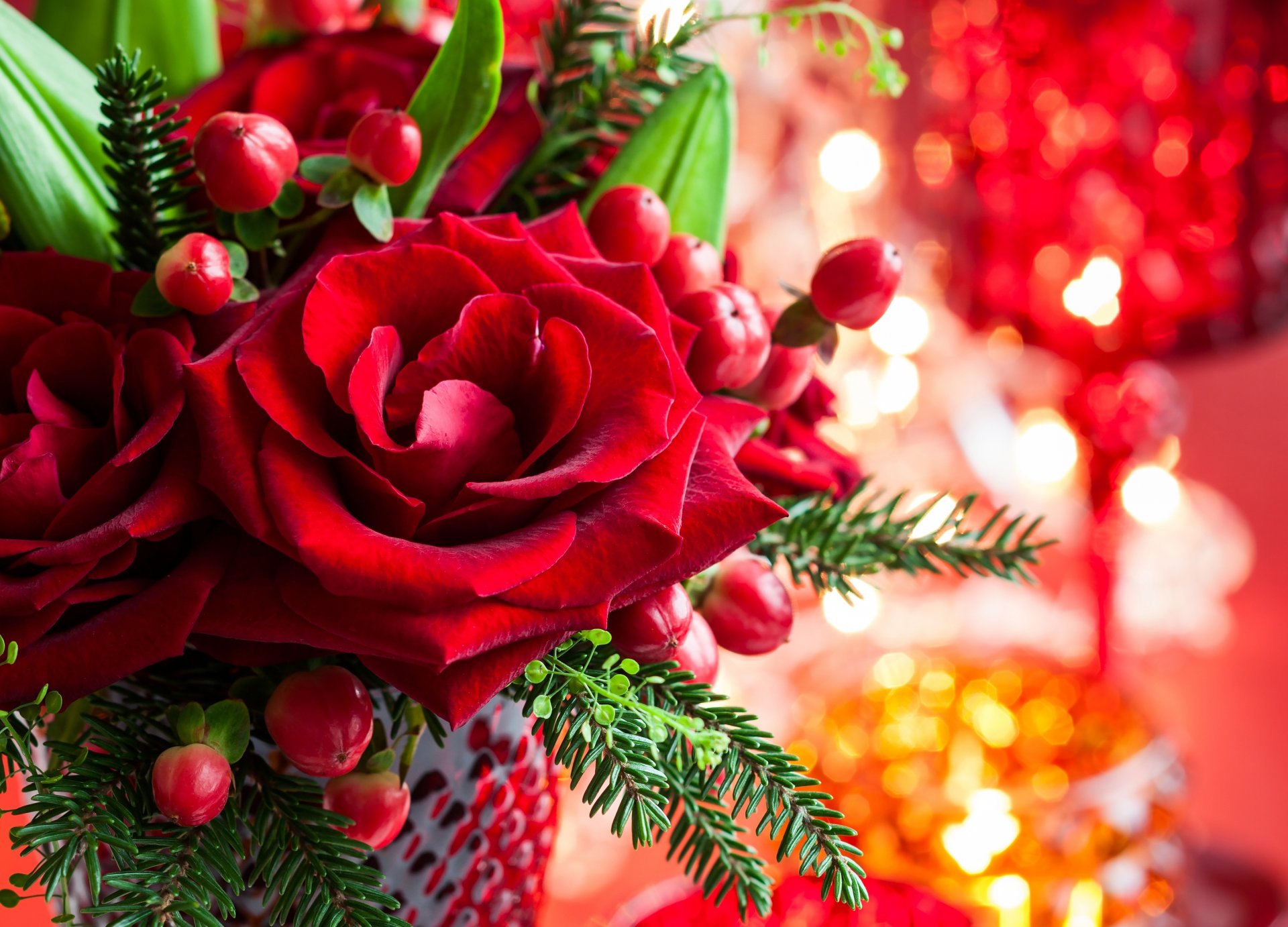 roses red flower flowers bud petals leaves vase branches spruce holidays bokeh new year christma