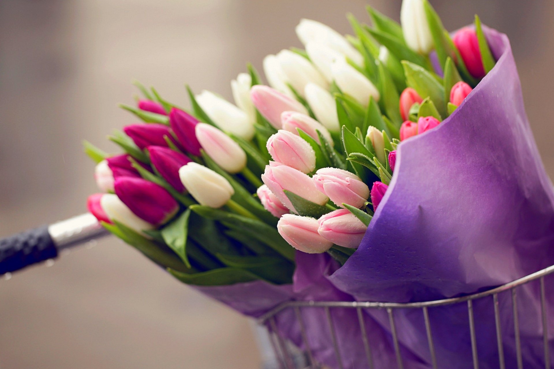 flowers bouquet tulips drops bicycle