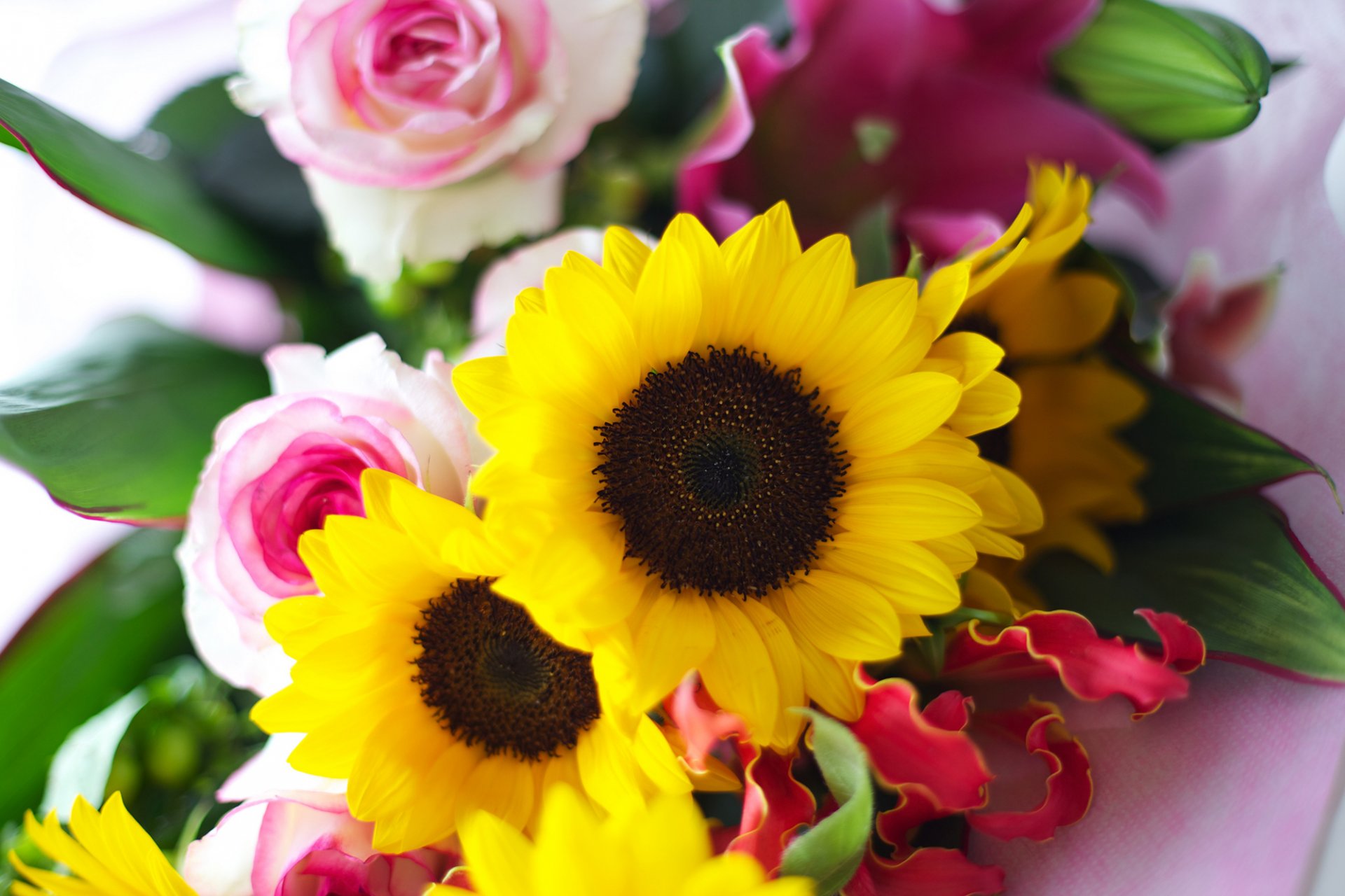 bouquet fleurs tournesols jaune roses rose pétales feuilles