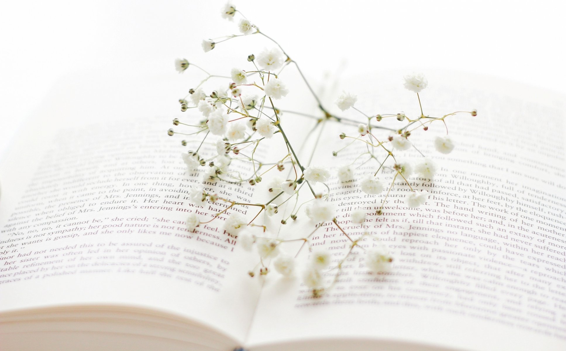 book flowers white twig twig