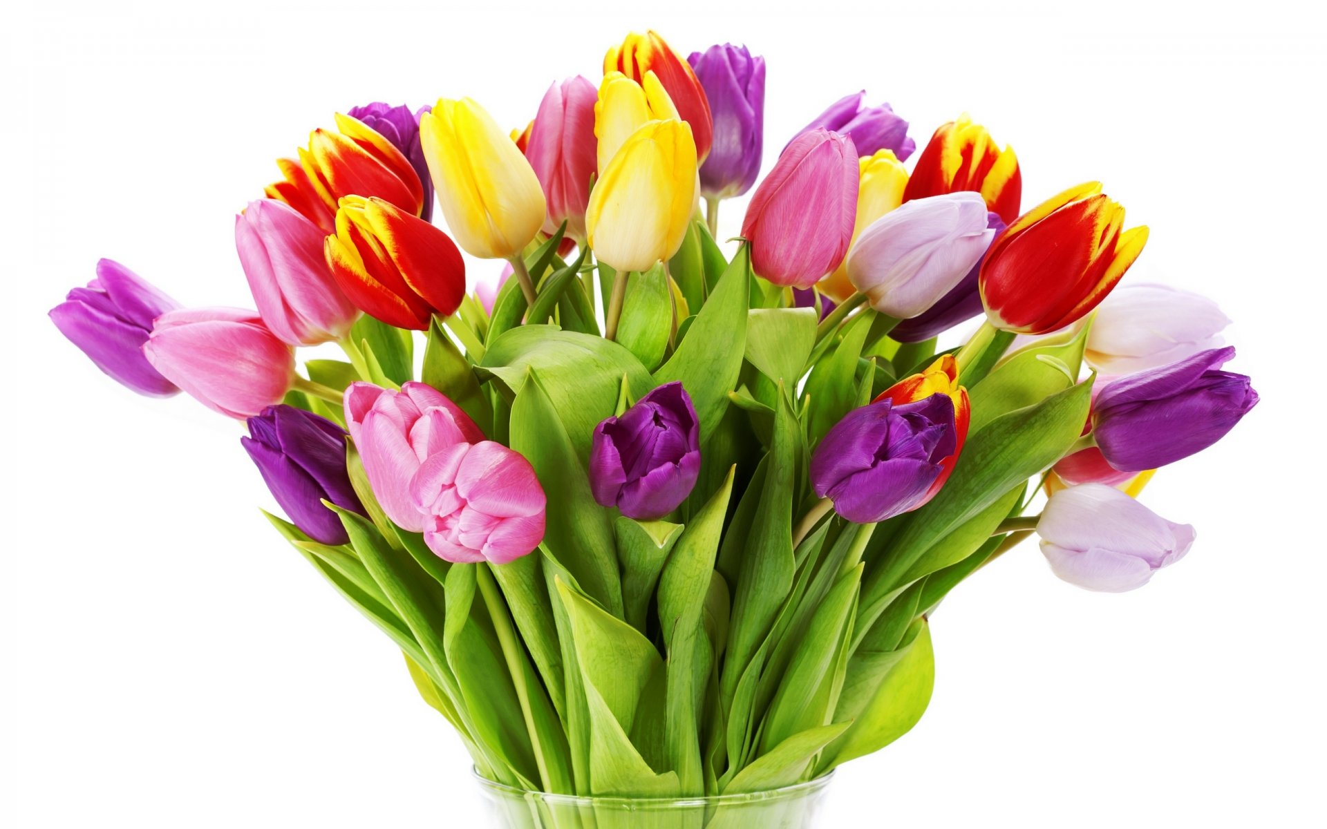 tulpen blumen hell bouquet gelb rot weiß rosa lila blütenblätter vase schönheit hell bunt rosa flieder weiß