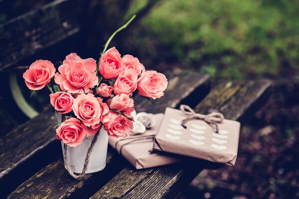 Surprise on a park bench