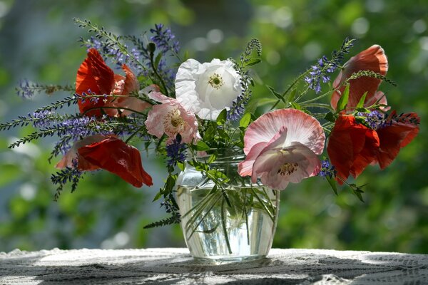 Hermosas flores en el paisaje de verano FRN