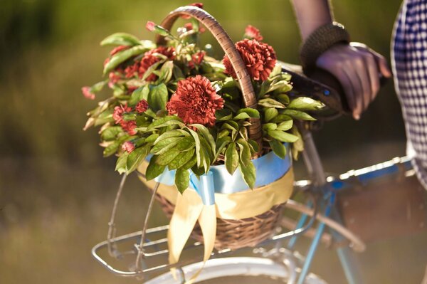 Fiori di sfondo a schermo intero