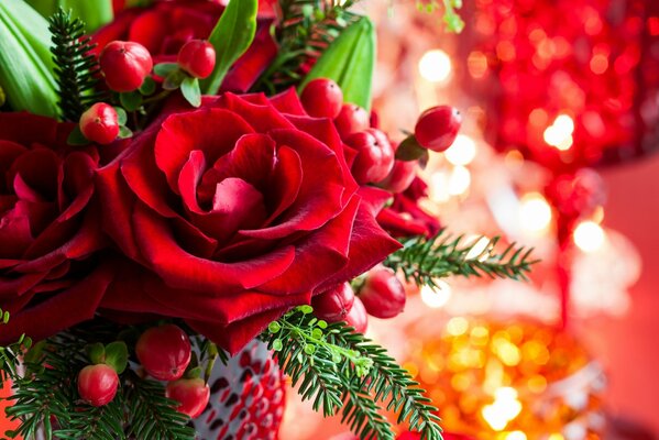 Red roses with spruce twigs