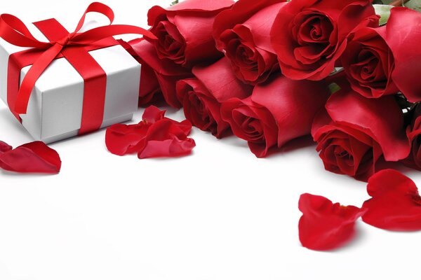 Red bright roses and a gift