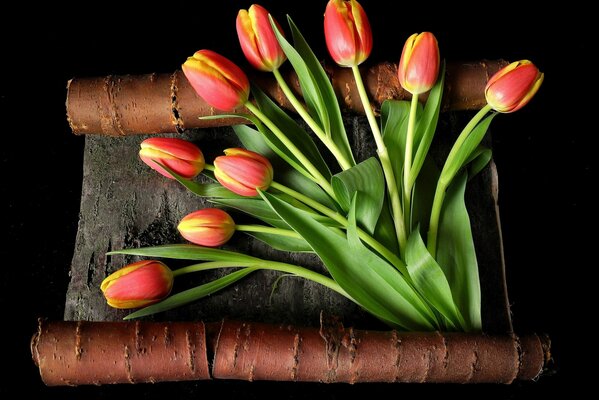 Bouquet di tulipani rossi su corteccia di betulla