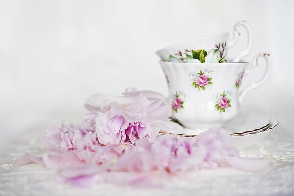 Fiori rosa accanto a tazze in piattini