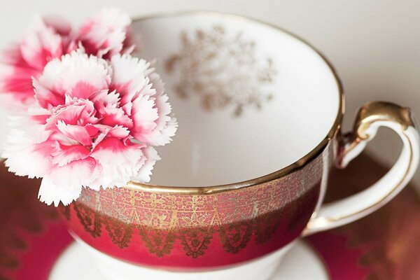 Pink carnation on the edge of the cup with an ornament