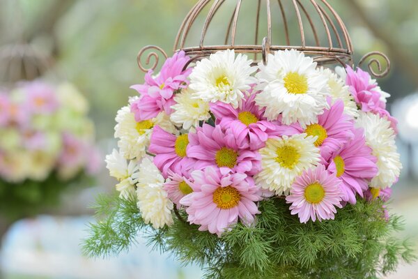 Bouquet de chrysanthèmes blancs et roses et panier