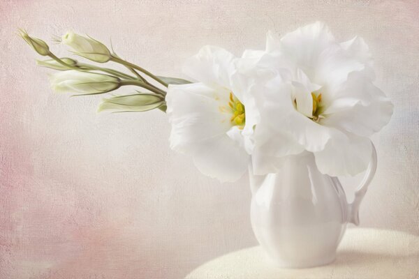 Vase mit weißen Blumen und Zweigen