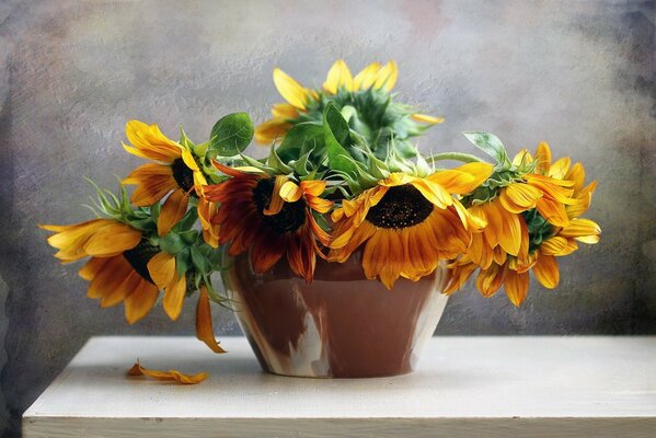 A bouquet of sunflowers on the table