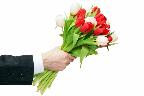 Bouquet of tulips on a white background