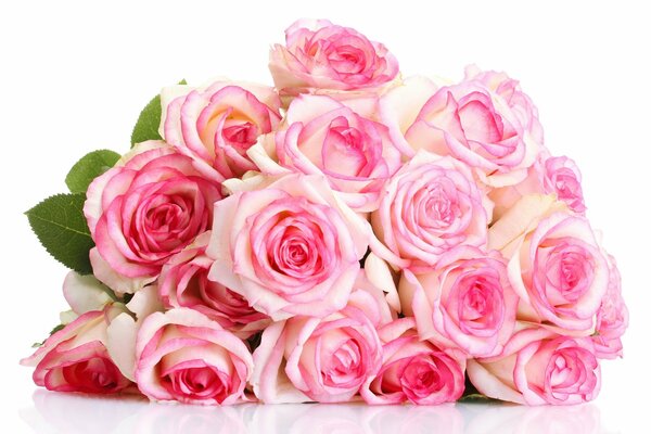 Ein schöner Blumenstrauß aus großen rosa Rosen