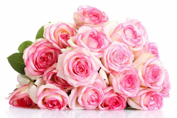 Beautiful bouquet of large pink roses