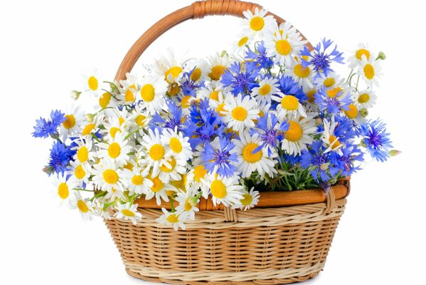 Wicker basket with daisies and cornflowers