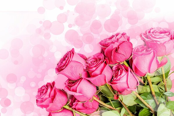 Bouquet de roses roses sur fond rose