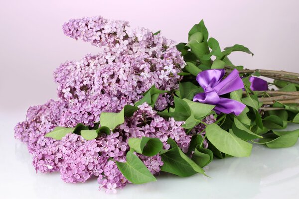 Spring delicate Bouquet of lilac