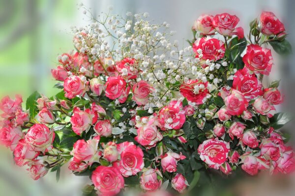 Blumenstrauß aus bunten Rosen auf verschwommenem Hintergrund
