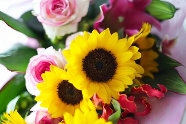 Bellissimo bouquet di girasoli gialli e rose