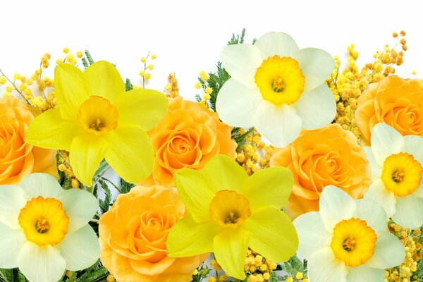 Jonquilles et Mimosa en bouquet jaune