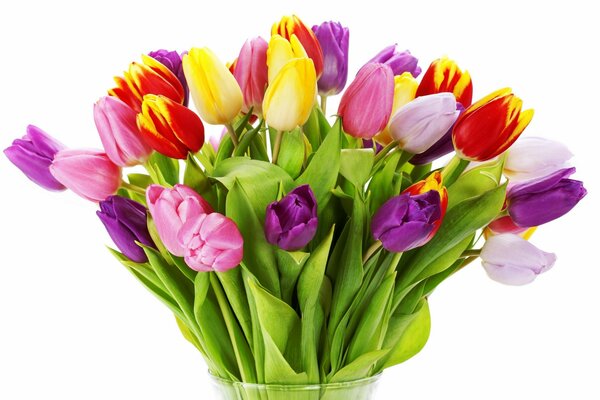 Bouquet luminoso di tulipani multicolori