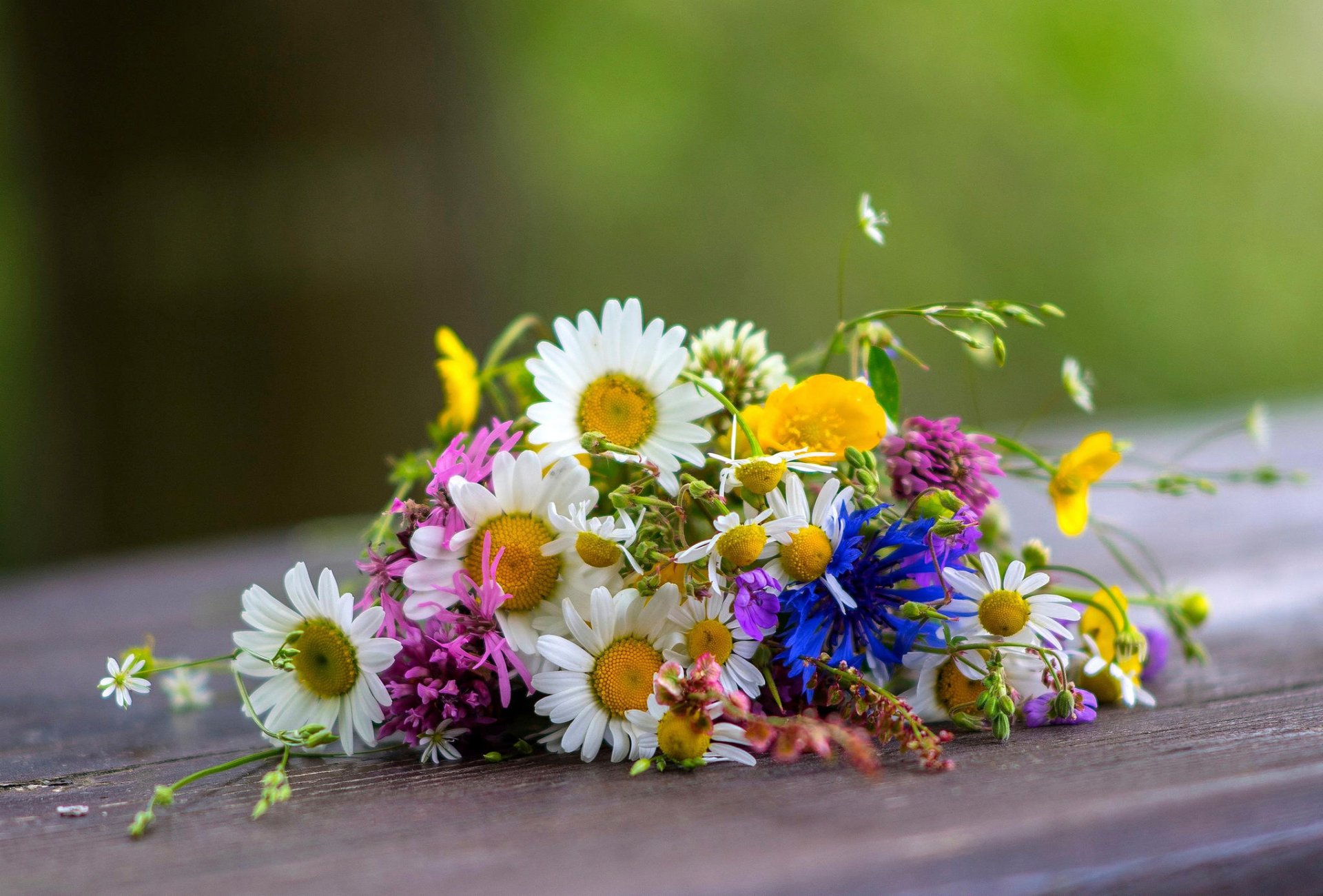 wildflowers are simple is not capricious cornflowers chamomile