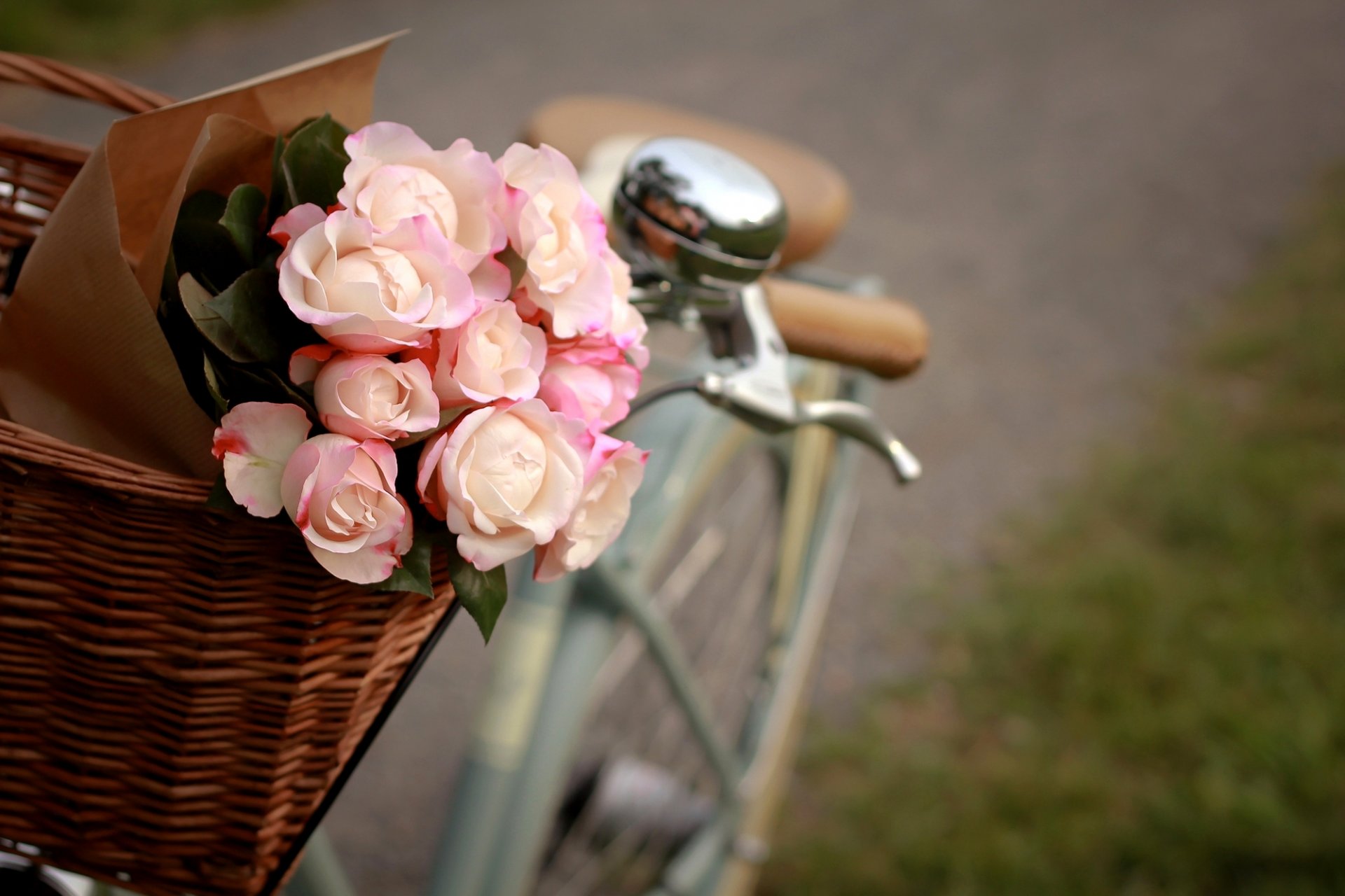 rose fiori rosa bianco pacchetto carrello bicicletta