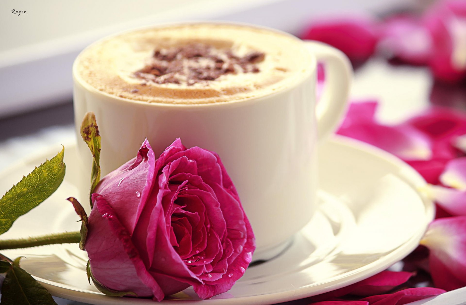 blume rose rosa tasse becher cappuccino